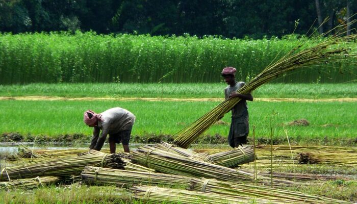   , .    <!--noindex--><a href="https://pikabu.ru/story/pryadilnyie_dzhut_12982048?u=http%3A%2F%2Fwinterhouse.ru&t=winterhouse.ru&h=d3ac1e27e8a88fd9b5584a497faa1593dc7ae5ae" title="http://winterhouse.ru" target="_blank" rel="nofollow noopener">winterhouse.ru</a><!--/noindex-->.