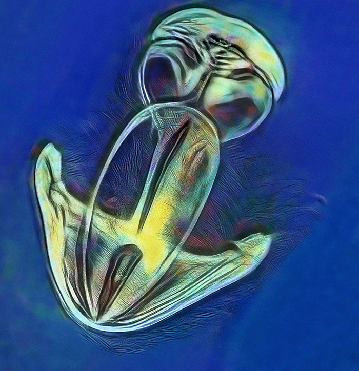    , , , ,  