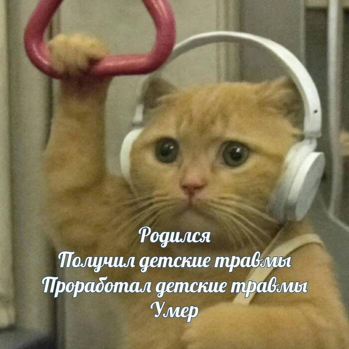   ,  , ,  
