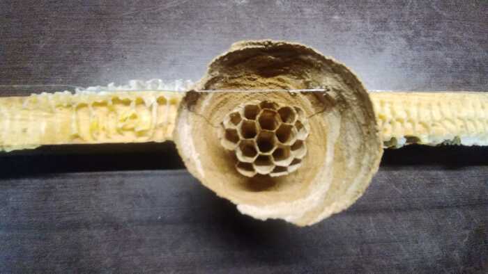 Вот его "суть"))).