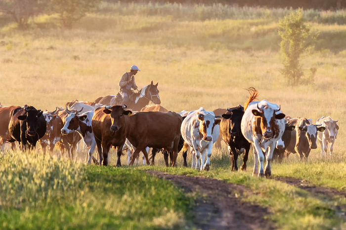 Навигатор мне такого не показывал!
