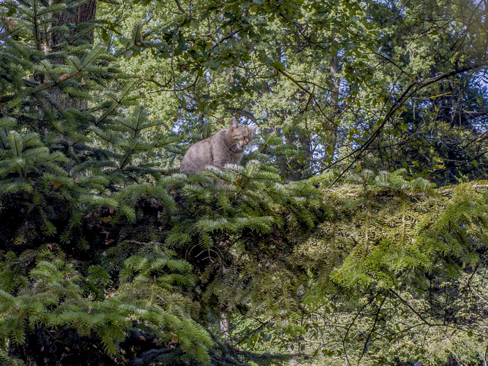   !        ,        -  .