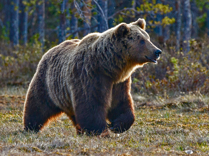  ,  .  ,     .        ,        .