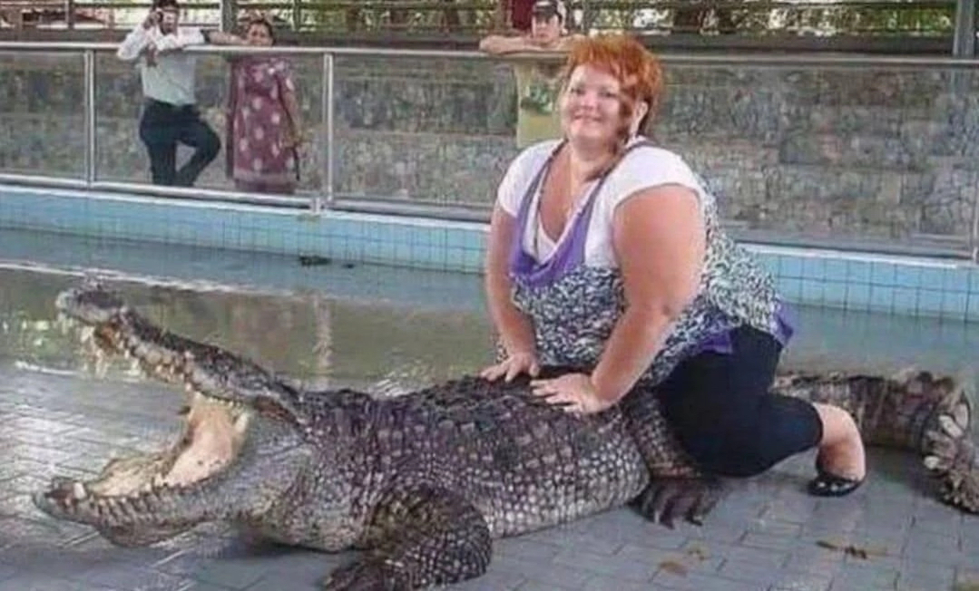 Крокодилдің тегін порнофотосуреті Крокодилдің тегін порнофотосуреті