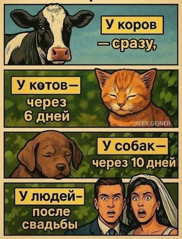  , ,   