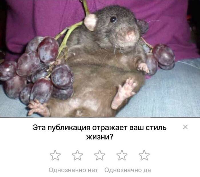 ? ,   , , , 
