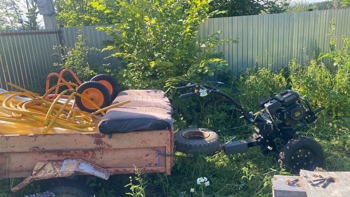 ������ ������� �� ���, ���� ������� �������� � ������ ������.