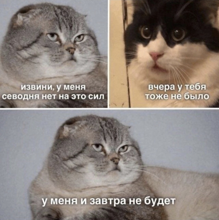       , , ,  ,   , 
