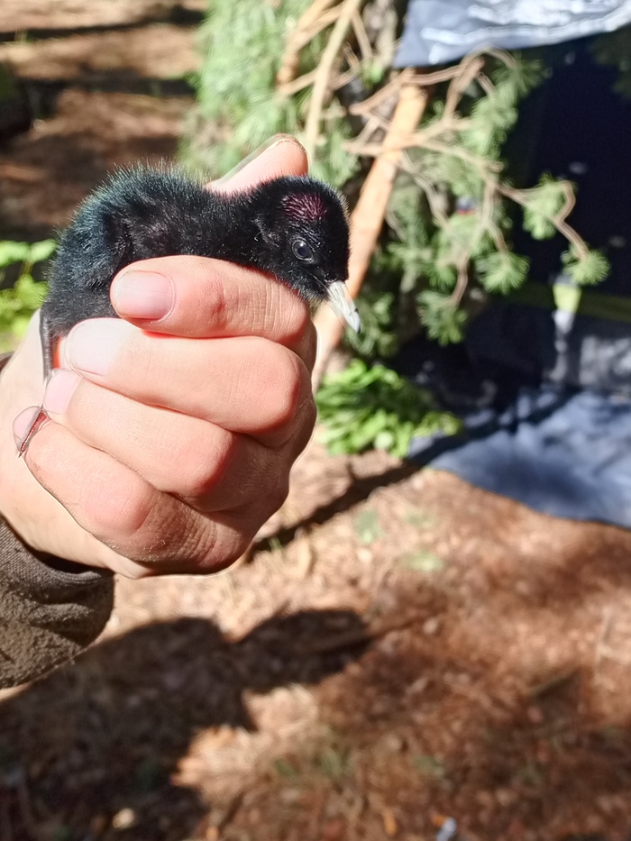 ���� �� ���� ��� ����� ������ � ���