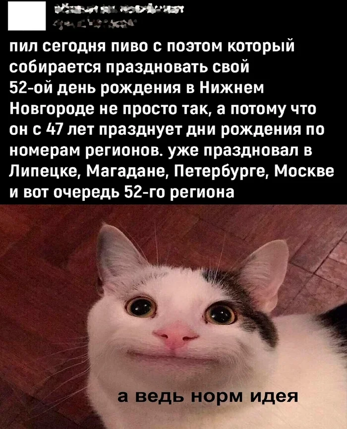 ogkkxwqd.webp