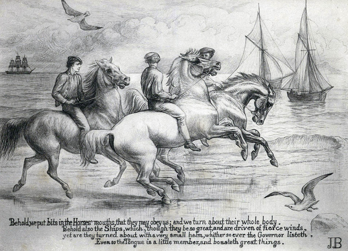 Иакова 3:3, из книги «Библейские звери и птицы» Джемаймы Блэкберн, 1886 г. Источник: Wikimedia Commons