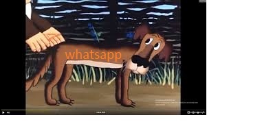 -... WhatsApp, ,   