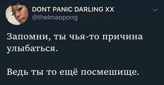   ,    , X (Twitter),  , , ,  (),   , 