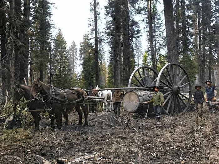 Подборка интересных и необычных фотографий из США. 20 раскрашенных фотографий ХХ века. Часть 24 Старое фото, Фотография, Историческое фото, 20 век, США, Колоризация, Длиннопост