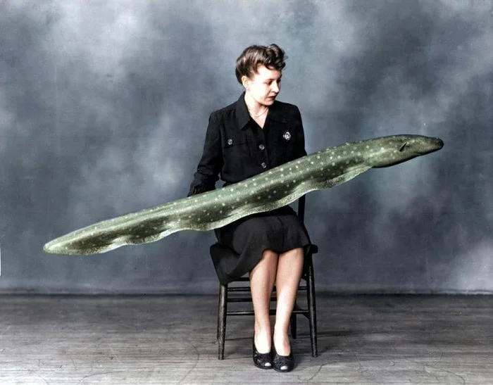 Подборка интересных и необычных фотографий из США. 20 раскрашенных фотографий ХХ века. Часть 24 Старое фото, Фотография, Историческое фото, 20 век, США, Колоризация, Длиннопост