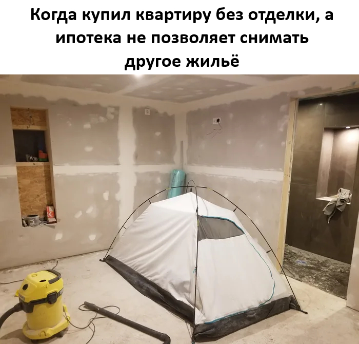   ,   , , , , , Telegram ()