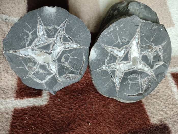     ,  , , 