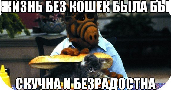     .    ,  , ,   ,   , , , 