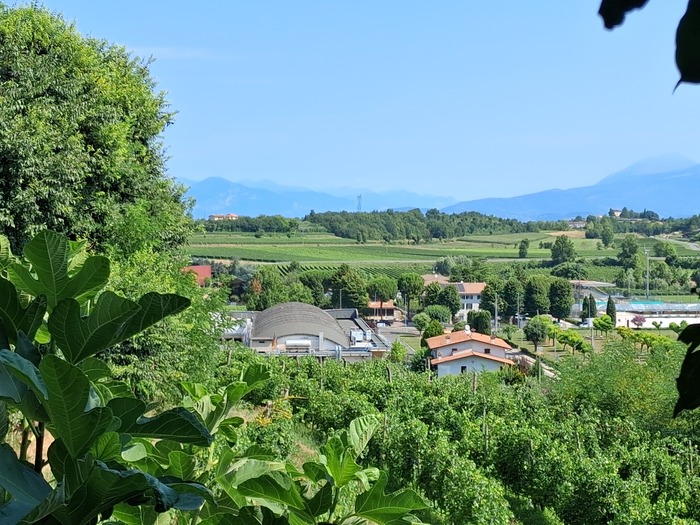 Немного субботы