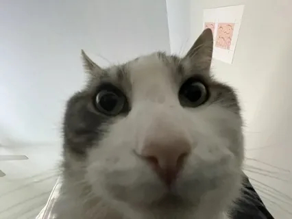 Доброе утро