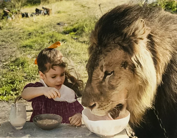 Подборка фотографий из прошлого, которые заставляют удивиться. 20 раскрашенных фотографий из XIX-ХХ века. Часть 20 Историческое фото, Фотография, Старое фото, 20 век, Колоризация, Длиннопост
