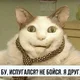 Аватар пользователя BelkaBrunyaga