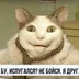 BelkaBrunyaga