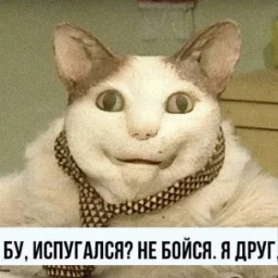 BelkaBrunyaga