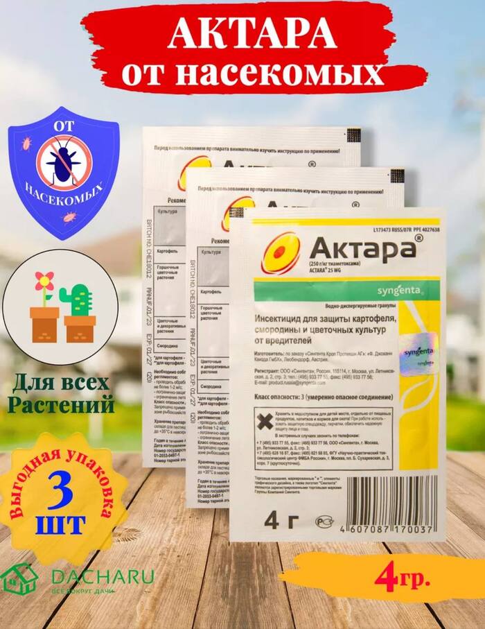   ,   ,       . ,        .