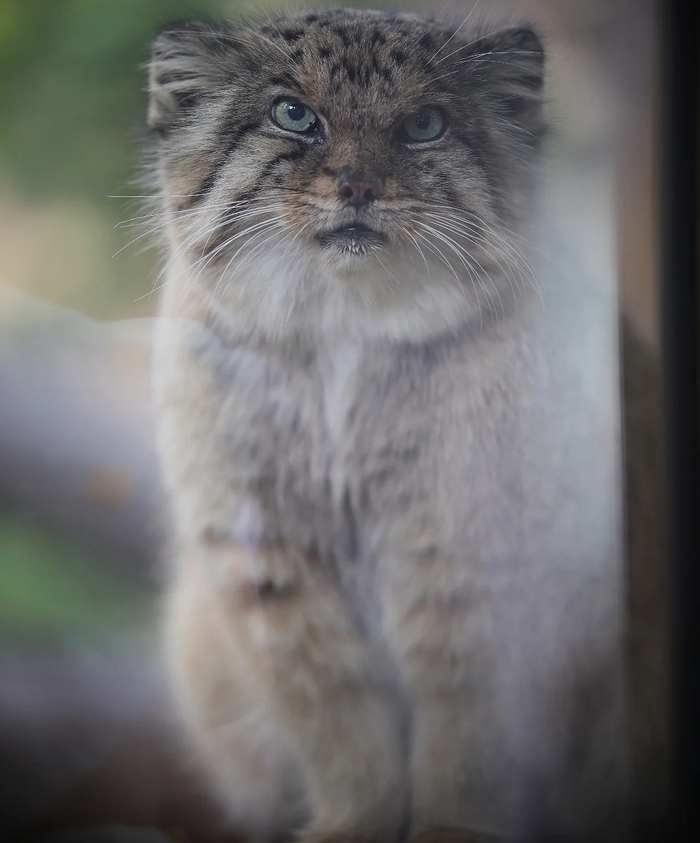 Не скучайте, у меня всё хорошо!