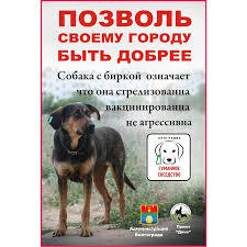   <a href="https://pikabu.ru/story/sobaki_budut_zhrat_belok_na_mamaevom_kurgane_do_dekabrya_a_potom_ikh_uvezut_otkarmlivat_v_priyut_12982782?u=https%3A%2F%2Fasi.org.ru%2Fnews%2F2018%2F06%2F21%2Fvolgograd-chipirovanie-bezdomnye-zhivotnye%2F&t=%D0%BE%D0%B1%D1%80%D0%B0%D0%B7%D1%86%D0%B0%202018%20%D0%B3%D0%BE%D0%B4%D0%B0&h=4737ddd7d5036b833b9782288d5a27a29667af71" title="https://asi.org.ru/news/2018/06/21/volgograd-chipirovanie-bezdomnye-zhivotnye/" target="_blank" rel="nofollow noopener"> 2018 </a>.                .