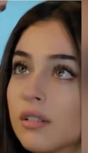      1% ,   ,  , , , , ,  ,  ,   , 