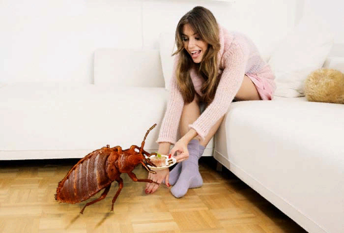  :  ,      , , , , ,  ,  ,   (), 