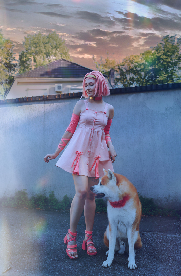 Cosplay Reimi Sugimoto Jojos Bizarre Adventure, Sugimoto Reimi, , 