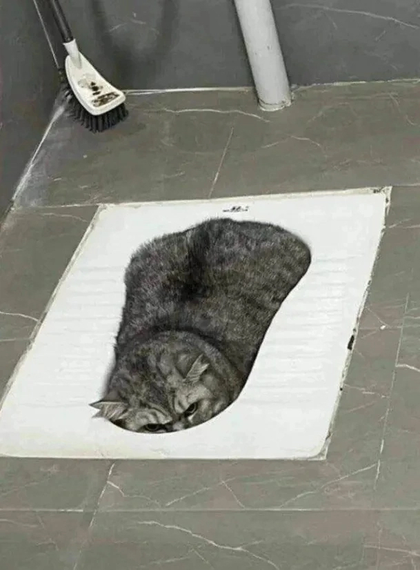  !     ! ,  , , , 