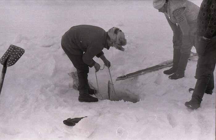Пошла рыба! Если не ошибаюсь, это или сиг, или пелядка