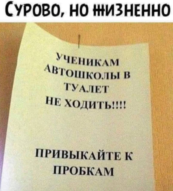  chizhovp        , , , ,   ,  , , ,   , 