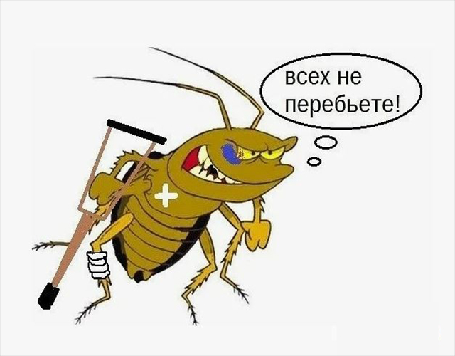 �������� ��� ��������� � 2025 ����: ��� ������� ������ ������ � ������� ������, ������� ������� ��� ����� ��������