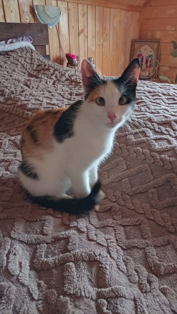 ,  , , , 