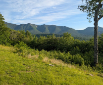 ������� �� �����