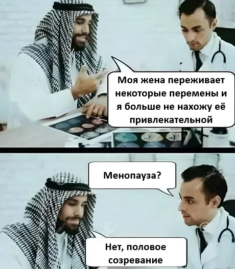  ,   , ,  , , Telegram (),  