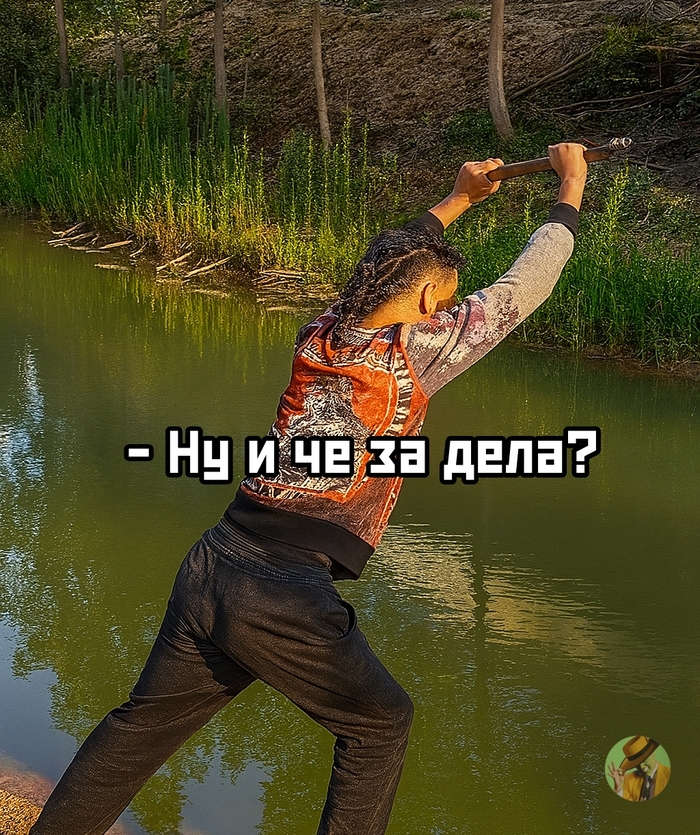  ""   :       , , , ,  , Telegram (), 