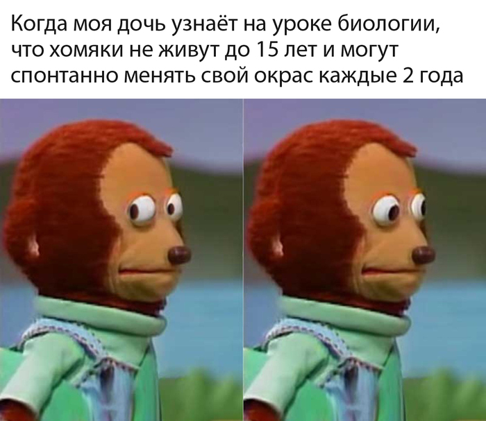   , , , , Telegram (),   , 