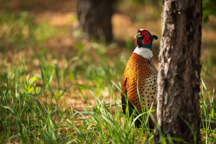 Фото: Ева Кострома <a href="https://pikabu.ru/story/razvedchik_12989267?u=https%3A%2F%2Frtraveler.ru%2Fphoto%2F1476725%2F%3Fnew_photos%3D1&t=%D0%BE%D1%82%D1%81%D1%8E%D0%B4%D0%B0&h=2686888bf82f97ee4b4aaa626759416e498d3172" title="https://rtraveler.ru/photo/1476725/?new_photos=1" target="_blank" rel="nofollow noopener">отсюда</a>