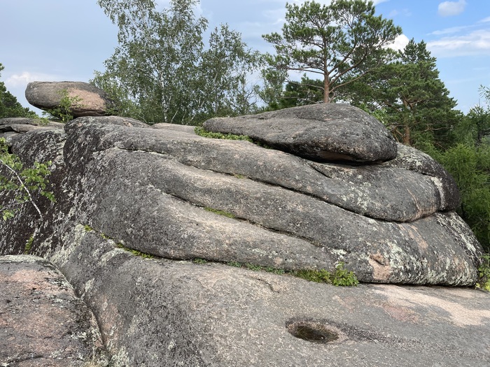 � ���� ������ ���������� ������ ������)