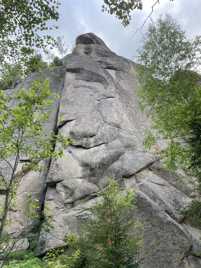 ��� � �������� ���������� � ����� ����� ��������👍