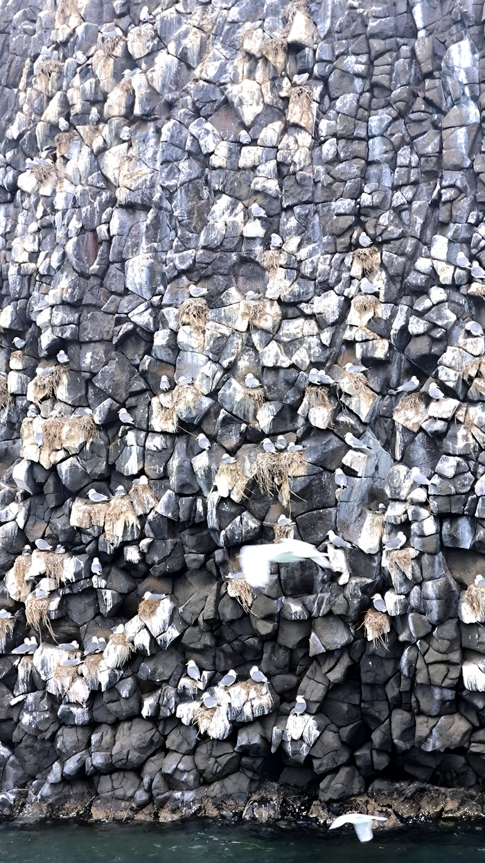  .   ,    &#xEB;     .      .