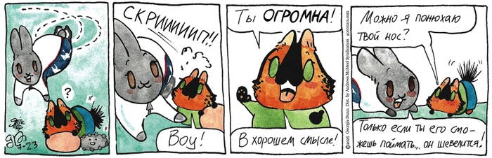    23.07.2025 ,   (), , 