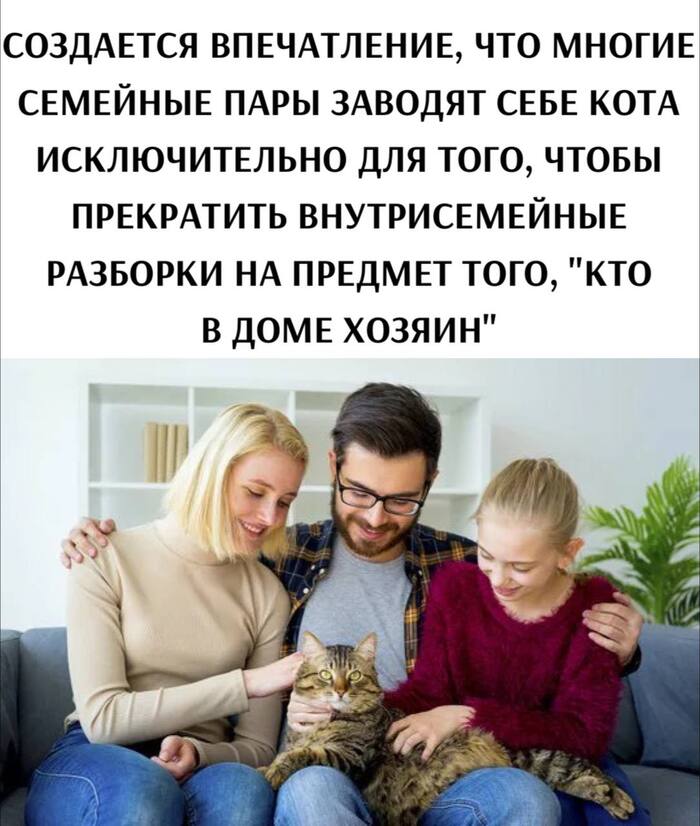       ,   , , , Telegram ()