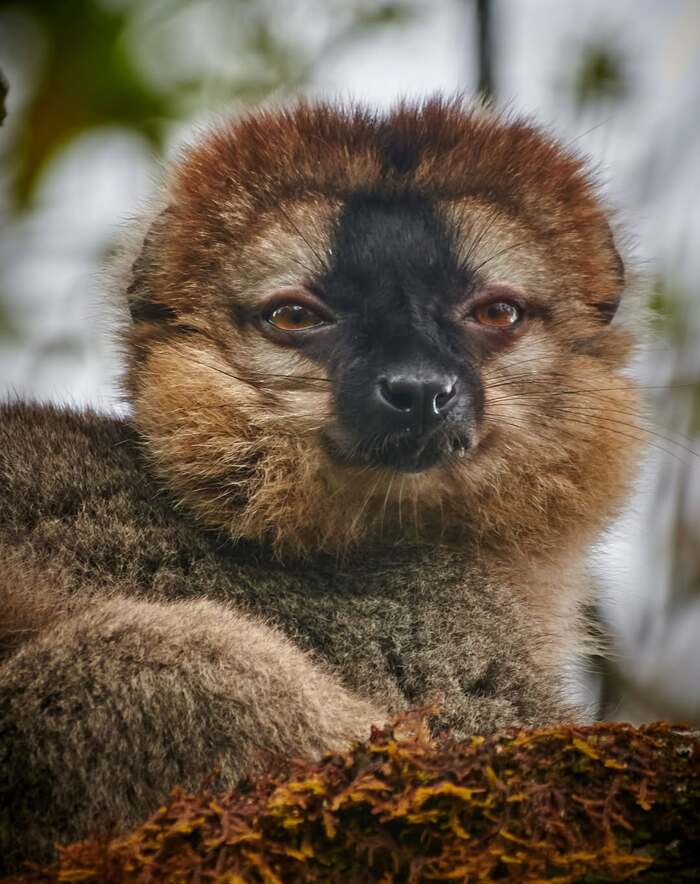   , , ,  ,  ,  , , 